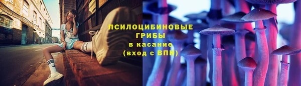кокаин премиум Белокуриха