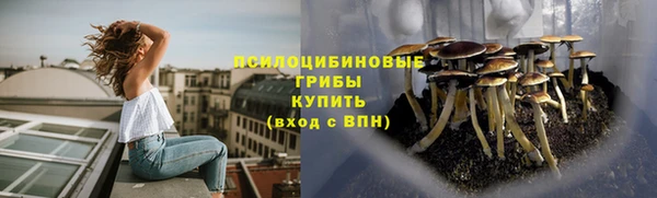 ПСИЛОЦИБИНОВЫЕ ГРИБЫ Семилуки
