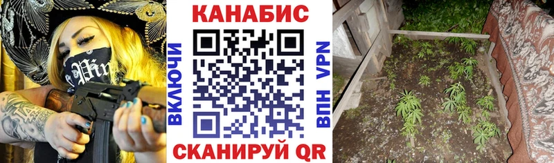 Каннабис VHQ Онега